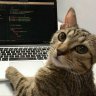 zeroDeveloper