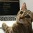 zeroDeveloper